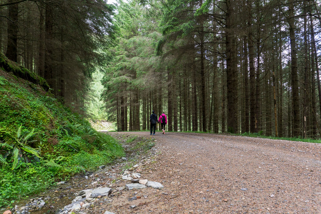 Walks in Glen Nevis Two Drifters Meander through the forest, Scotland
