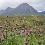 West Highland Way, The Two Drifters, www,thetwodrifters.net The gorgeous area of Glencoe, West Highland Way. Scotland.