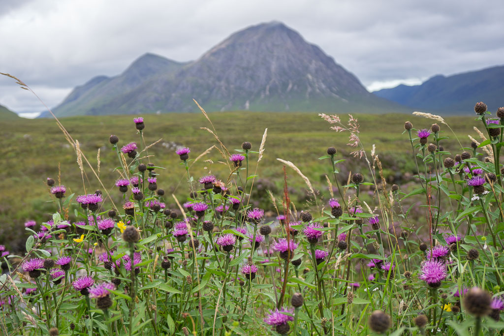 West Highland Way, The Two Drifters, www,thetwodrifters.net The gorgeous area of Glencoe, West Highland Way. Scotland.