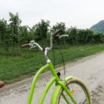 Bike and Wine Tour Wachau Valley, The Two Drifters, www.thetwodrifters.net