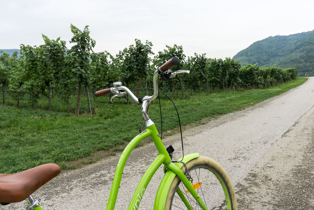 Bike and Wine Tour Wachau Valley, The Two Drifters, www.thetwodrifters.net